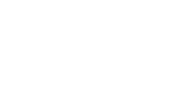 MD Marketing Digital